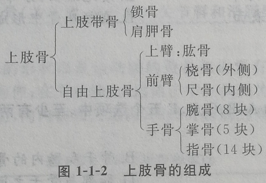 四川成人高考网-专升本-医学综合46.jpg 四川成人高考网-专升本-医学综合46.jpg
