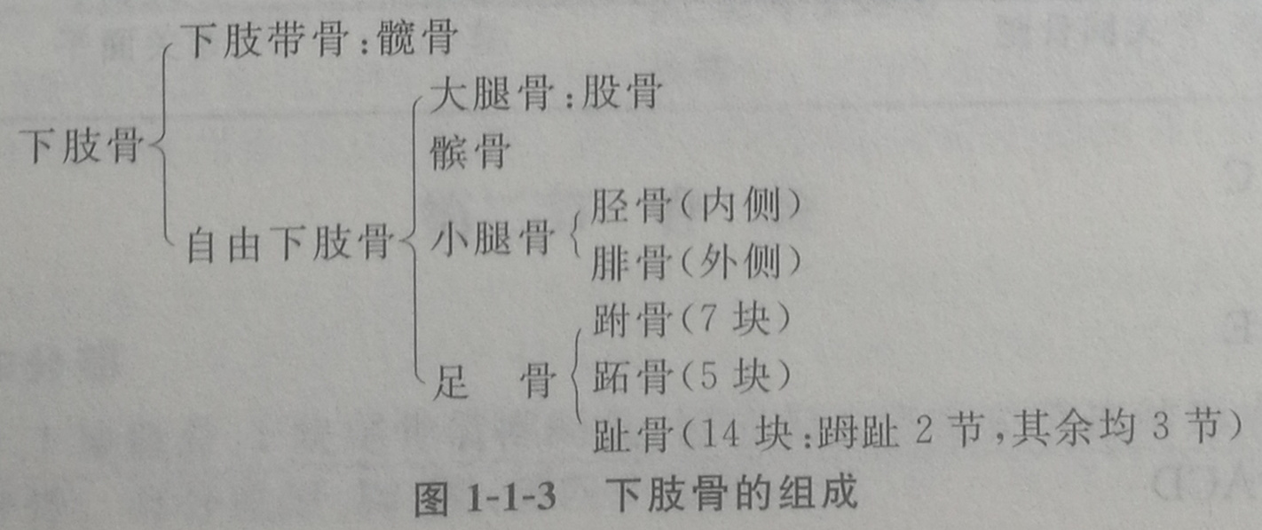 四川成人高考网-专升本-医学综合47.jpg 四川成人高考网-专升本-医学综合47.jpg